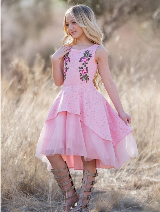 Joyfolie Other - Joyfolie Pink Floral Embroidered Layered Dress